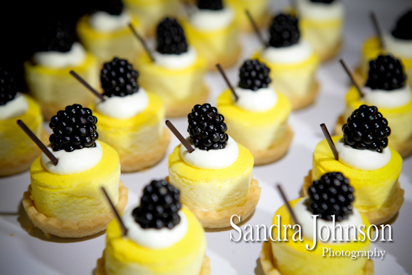 Best Gaylord Palms Wedding photographer - Sandra Johnson (SJFoto.com)